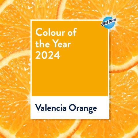Peach Fuzz is the colour of the year, but this is our petition to make it Valencia Orange.